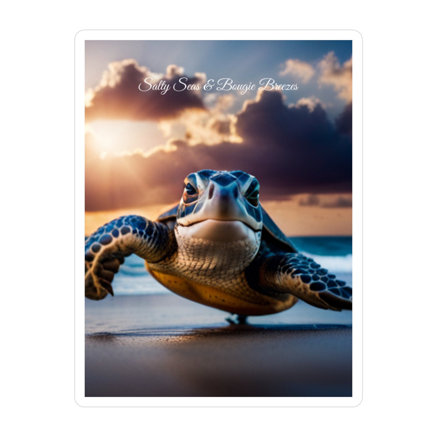 Kiss-Cut Vinyl Decals