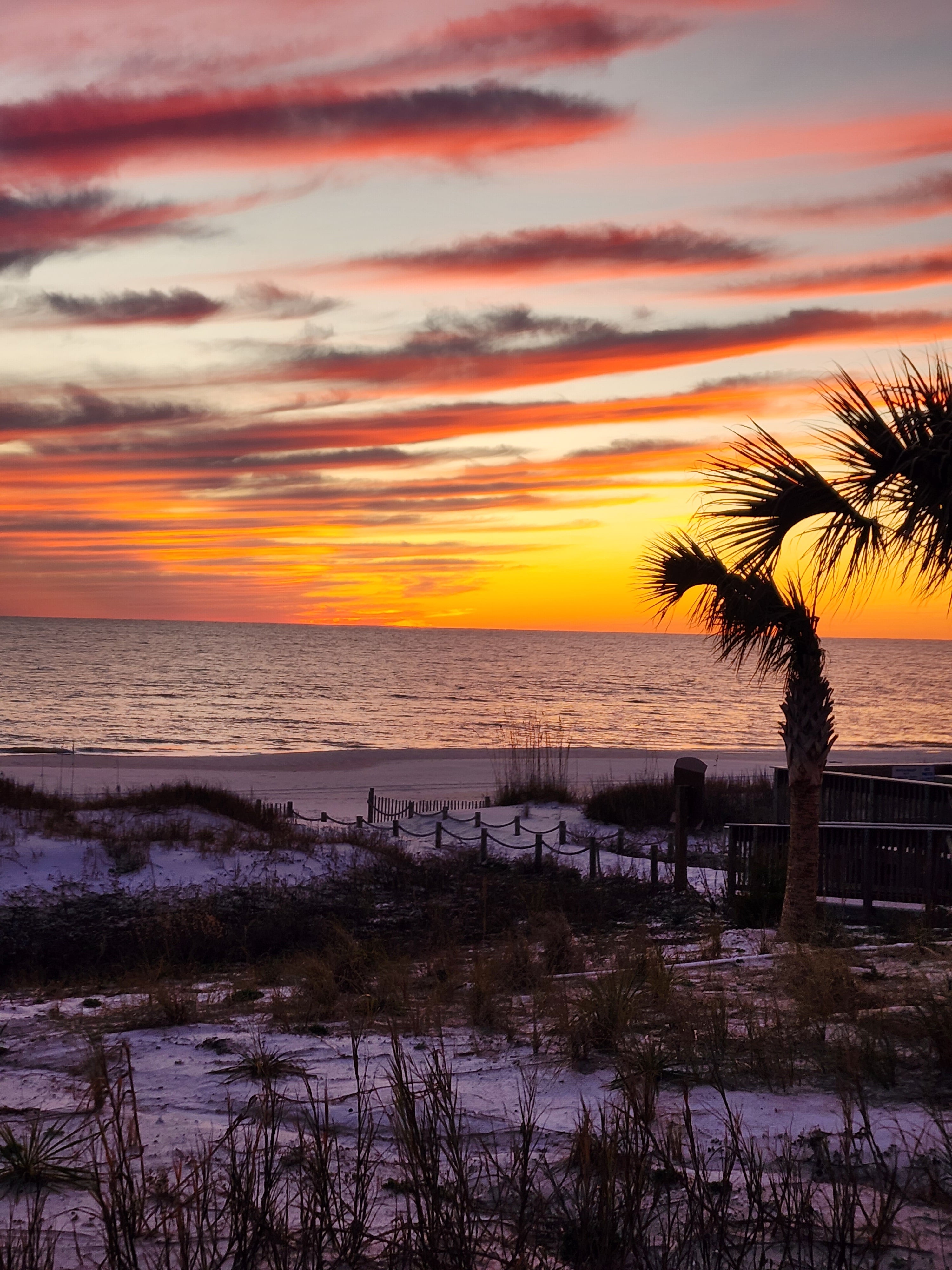 Salty Seas & Bougie Breezes