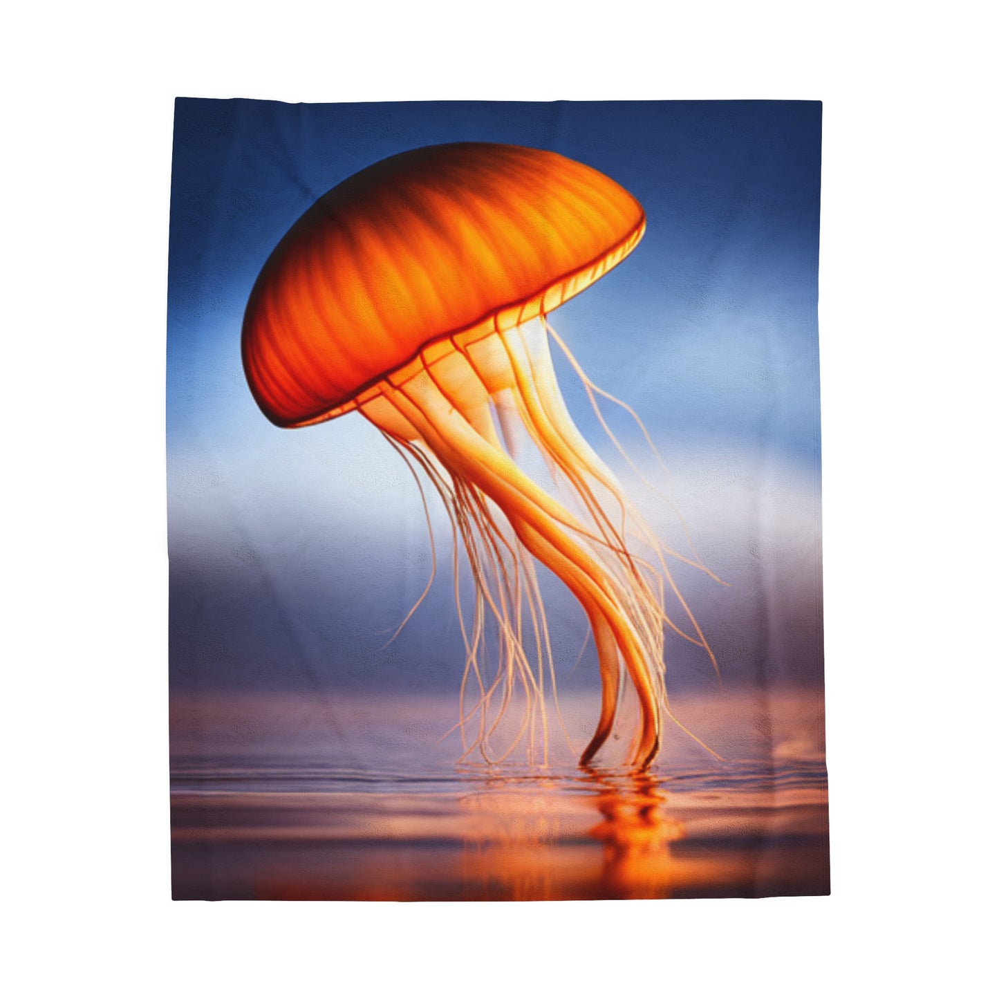 Velveteen Plush Blanket