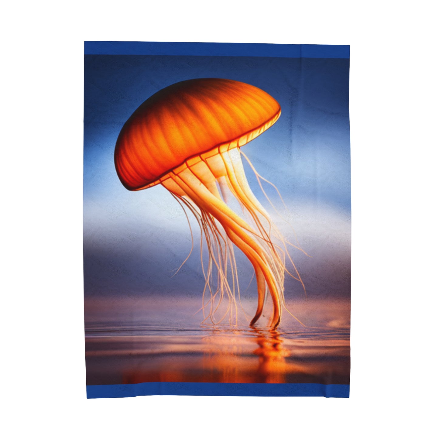 Velveteen Plush Blanket